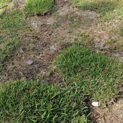 United Water Restoration Group of Naples