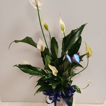 Treasures To Adore - Florists Near Me - Humble, Texas Treasures To Adore - Florists Near Me - Humble, Texas