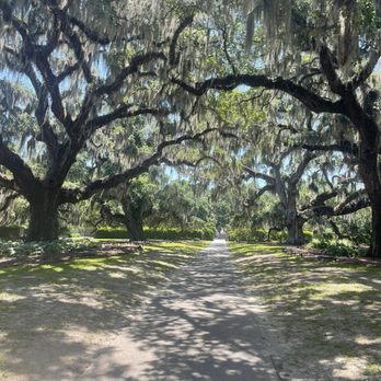 Brookgreen Gardens - Live Oaks - Museums Near Me - Murrells Inlet, South Carolina