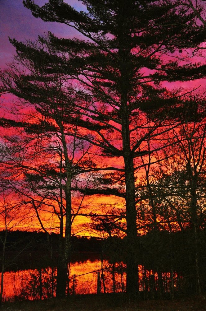 GracePointe Grief Center - grief counselor in North Kingstown, RI