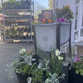 Maypop Coffee & Garden Shop - Coffee & Tea Near Me - Webster Groves, Missouri