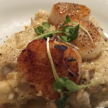 Finch & Fifth - Risotto needed more salt but still outstanding. - Bars Near Me - Augusta, Georgia