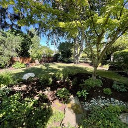 Trimming, re-mulching, weeding