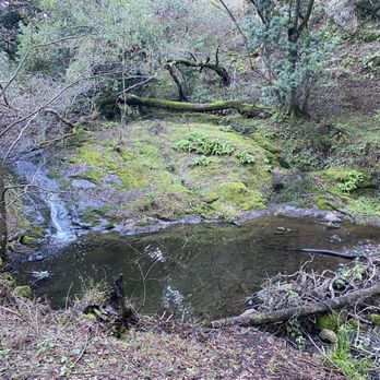 Tilden Regional Park - Wildcat Gorge Trail - Parks Near Me - Berkeley, California