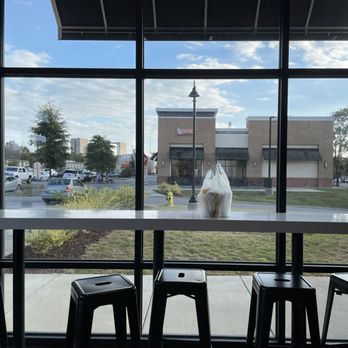 Share Tea - Window - Bubble Tea Near Me - Charlotte, North Carolina