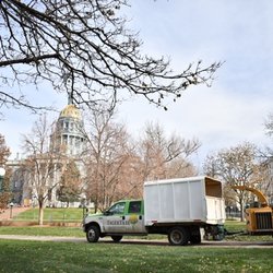 TigerTree - More Denver trimming!