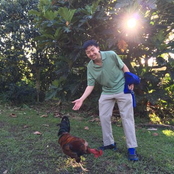 Hawaiian Sanctuary - Health Retreats Near Me - Pāhoa, Hawaii Hawaiian Sanctuary - Health Retreats Near Me - Pāhoa, Hawaii
