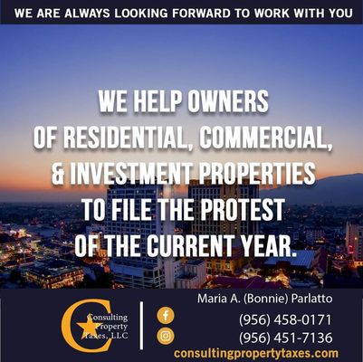 Consulting Property Taxes