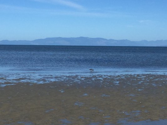Farewell Spit by null