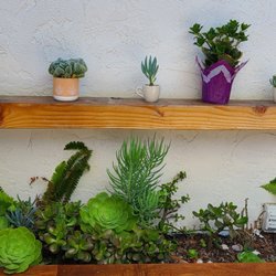 Turmeric Thai Kitchen - Wall Art