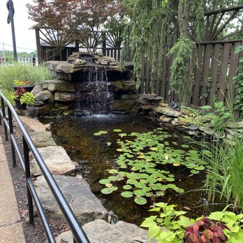 Goodwood Brewing - Koi Pond on point! - Breweries Near Me - O'Fallon, Missouri