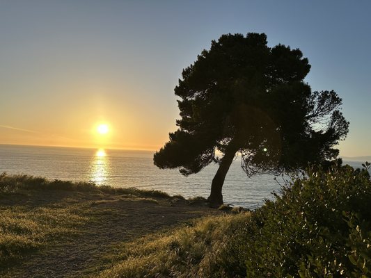 Palos Verdes Estates Shoreline Preserve by null
