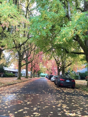 Oregon State University by null