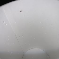 McDonald's - Besides the black specks, I found this nasty lil thing after dumping out my water.
