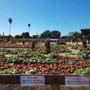 Lane Farms - Fruits & Veggies Near Me - Santa Barbara, California