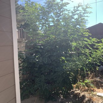 Efrain Tree Services - Tree Services Near Me