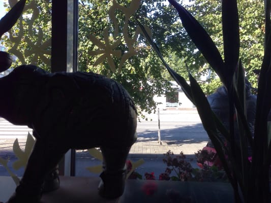 Delhi Darbar by null