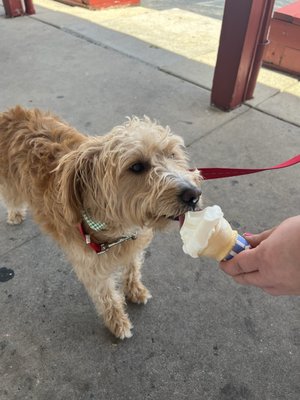 Pop's Homemade Water Ice by null