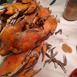 KOOL Ice & Seafood