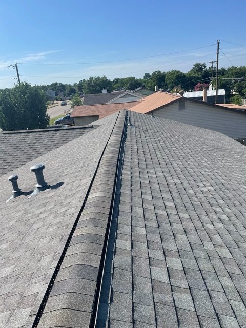 Slide of Pangolin Roofing
