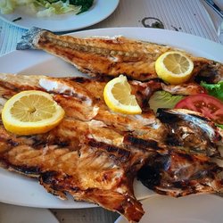 Restaurante Concha - Branzino so fresh grilled on coal grill. Yum!!!