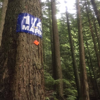 Grouse Grind - Hiking Near Me - North Vancouver, British Columbia