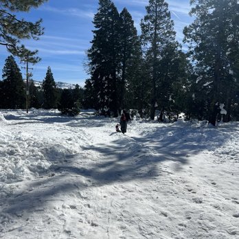 Nyack Snow Park - Sledding Near Me - Emigrant Gap, California
