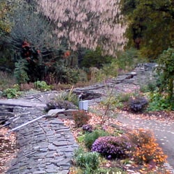 Kurpark