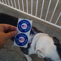 Antioch Womens Club - VOTING!