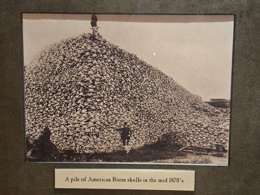 Ancient Ozarks Natural History Museum by null