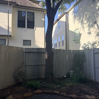 Chavez Trees - The tree - Tree Services Near Me - Houston, Texas