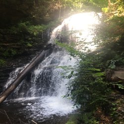 L & L Tours & Travel - Ricketts Glen