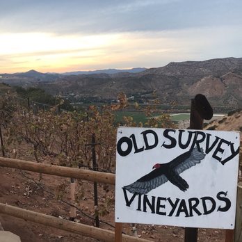 Old Survey Vineyards - Had such a great experience here ! - Wineries Near Me - Escondido, California Old Survey Vineyards - Had such a great experience here ! - Wineries Near Me - Escondido, California
