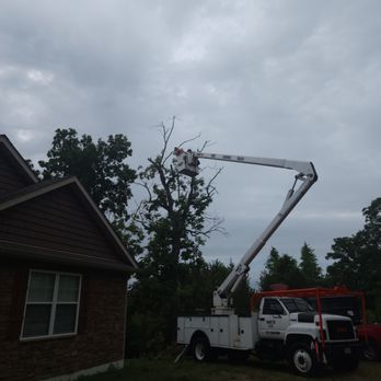 Bantys Tree Service - Tree Services Near Me Bantys Tree Service - Tree Services Near Me