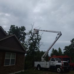 Bantys Tree Service