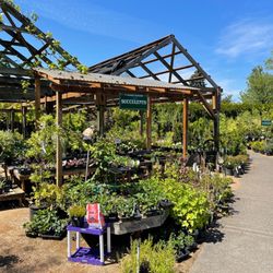 Vassey Nursery