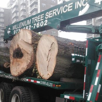Millenium Tree Service - Tree Services Near Me - Kinnelon, New Jersey Millenium Tree Service - Tree Services Near Me - Kinnelon, New Jersey
