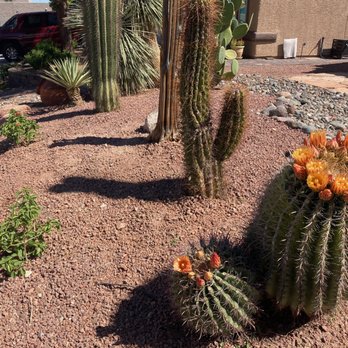 America's Gardening Services - Perfect yard clean up! - Gardeners Near Me America's Gardening Services - Perfect yard clean up! - Gardeners Near Me