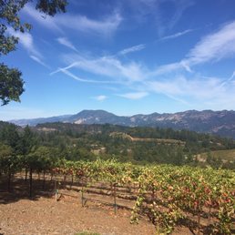Wine country ... gorgeous! Wine country ... gorgeous!