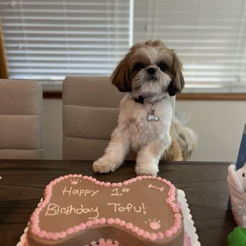 Lazy Labs Bakery - Peanut butter birthday cake - Pet Services Near Me - Fishers, Indiana Lazy Labs Bakery - Peanut butter birthday cake - Pet Services Near Me - Fishers, Indiana