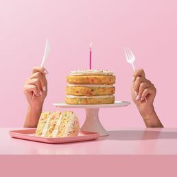 Celebration Cake Celebration Cake