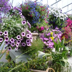 Cooleen Gardens
