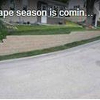 Bakkelund Tree & Landscape Service - untitled - Tree Services Near Me - Cologne, Minnesota Bakkelund Tree & Landscape Service - untitled - Tree Services Near Me - Cologne, Minnesota