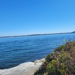 Taylor Point Lookout