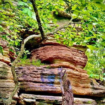 Ramble Ridge Campground - Campgrounds Near Me - Eureka Springs, Arkansas Ramble Ridge Campground - Campgrounds Near Me - Eureka Springs, Arkansas