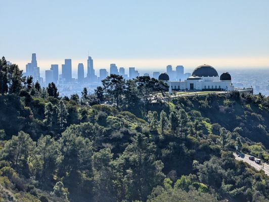 Griffith Park by null