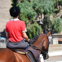 Down Centerline Dressage