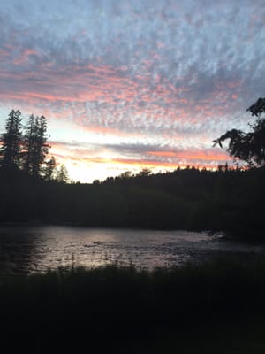 McKenzie River Inn by null