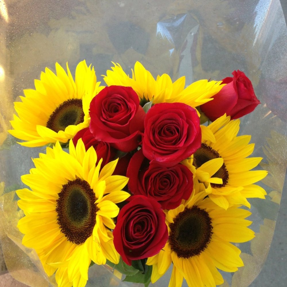 May Flowers - Flowers for my beautiful Wife! - Florists Near Me - Santa Fe Springs, California May Flowers - Flowers for my beautiful Wife! - Florists Near Me - Santa Fe Springs, California