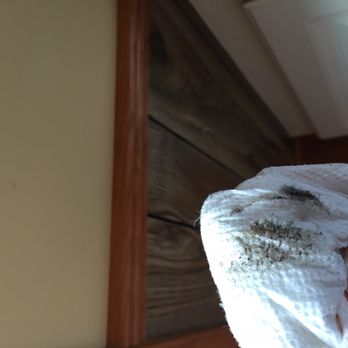 Casey's Discount Cleaning - Home Cleaning Near Me - Forked River, New Jersey Casey's Discount Cleaning - Home Cleaning Near Me - Forked River, New Jersey